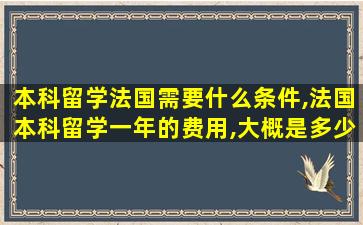 本科留学法国需要什么条件,法国本科留学一年的费用,大概是多少