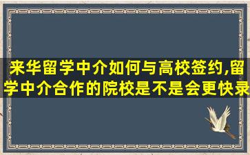 来华留学中介如何与高校签约,留学中介合作的院校是不是会更快录取