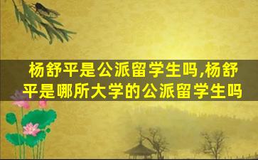 杨舒平是公派留学生吗,杨舒平是哪所大学的公派留学生吗