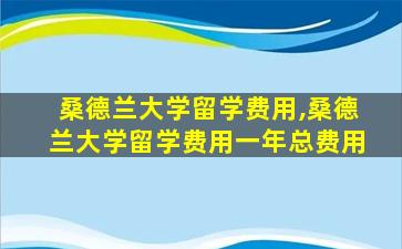 桑德兰大学留学费用,桑德兰大学留学费用一年总费用