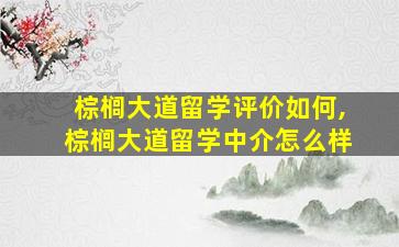 棕榈大道留学评价如何,棕榈大道留学中介怎么样