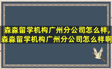 森淼留学机构广州分公司怎么样,森淼留学机构广州分公司怎么样啊