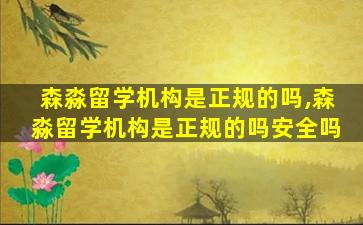 森淼留学机构是正规的吗,森淼留学机构是正规的吗安全吗