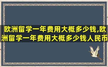 欧洲留学一年费用大概多少钱,欧洲留学一年费用大概多少钱人民币