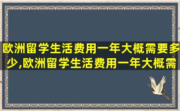 欧洲留学生活费用一年大概需要多少,欧洲留学生活费用一年大概需要多少人民币