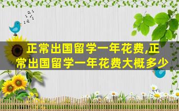 正常出国留学一年花费,正常出国留学一年花费大概多少