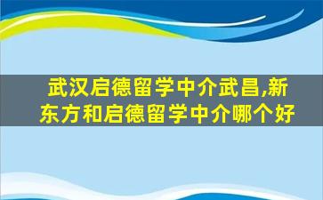 武汉启德留学中介武昌,新东方和启德留学中介哪个好