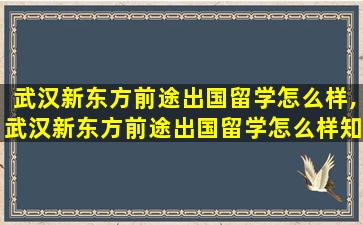 武汉新东方前途出国留学怎么样,武汉新东方前途出国留学怎么样知乎