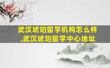 武汉琥珀留学机构怎么样,武汉琥珀留学中心地址