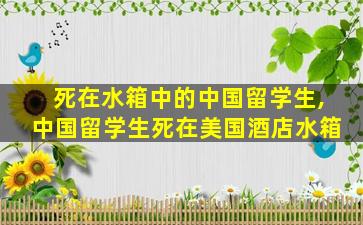 死在水箱中的中国留学生,中国留学生死在美国酒店水箱