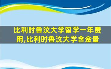 比利时鲁汶大学留学一年费用,比利时鲁汶大学含金量