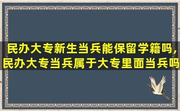 民办大专新生当兵能保留学籍吗,民办大专当兵属于大专里面当兵吗