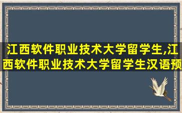 江西软件职业技术大学留学生,江西软件职业技术大学留学生汉语预科项目招生简章