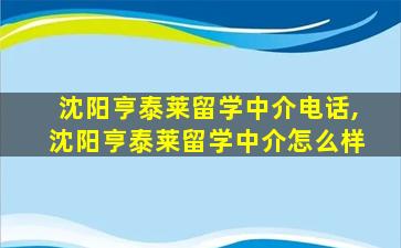 沈阳亨泰莱留学中介电话,沈阳亨泰莱留学中介怎么样