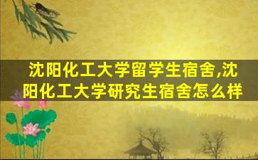 沈阳化工大学留学生宿舍,沈阳化工大学研究生宿舍怎么样