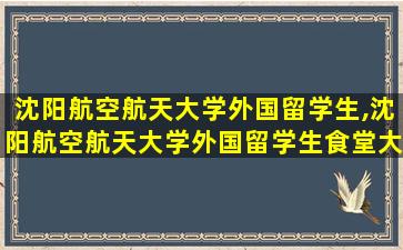 沈阳航空航天大学外国留学生,沈阳航空航天大学外国留学生食堂大*