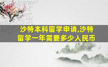 沙特本科留学申请,沙特留学一年需要多少人民币