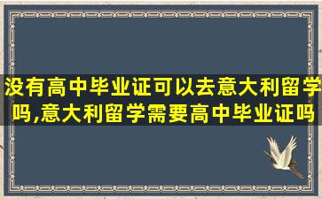 没有高中毕业证可以去意大利留学吗,意大利留学需要高中毕业证吗