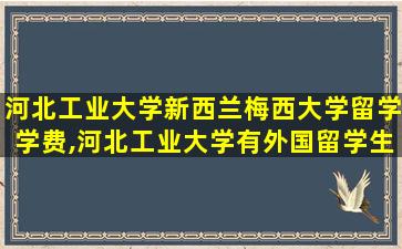 河北工业大学新西兰梅西大学留学学费,河北工业大学有外国留学生吗