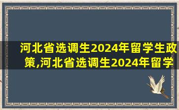 河北省选调生2024年留学生政策,河北省选调生2024年留学生政策是什么