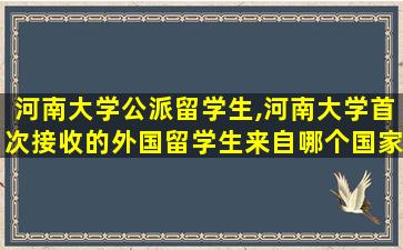 河南大学公派留学生,河南大学首次接收的外国留学生来自哪个国家