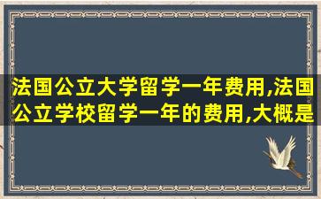 法国公立大学留学一年费用,法国公立学校留学一年的费用,大概是多少