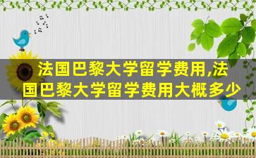 法国巴黎大学留学费用,法国巴黎大学留学费用大概多少