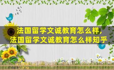 法国留学文诚教育怎么样,法国留学文诚教育怎么样知乎