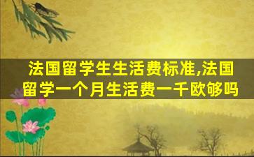 法国留学生生活费标准,法国留学一个月生活费一千欧够吗