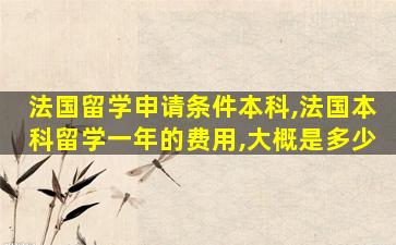 法国留学申请条件本科,法国本科留学一年的费用,大概是多少