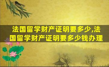 法国留学财产证明要多少,法国留学财产证明要多少钱办理