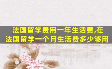 法国留学费用一年生活费,在法国留学一个月生活费多少够用
