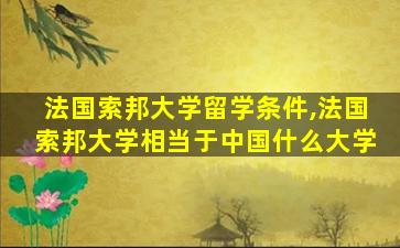 法国索邦大学留学条件,法国索邦大学相当于中国什么大学