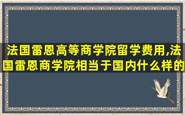 法国雷恩高等商学院留学费用,法国雷恩商学院相当于国内什么样的大学