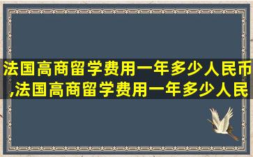 法国高商留学费用一年多少人民币,法国高商留学费用一年多少人民币合适