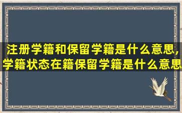 注册学籍和保留学籍是什么意思,学籍状态在籍保留学籍是什么意思