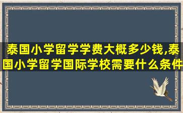 泰国小学留学学费大概多少钱,泰国小学留学国际学校需要什么条件