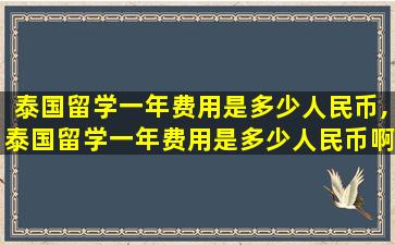 泰国留学一年费用是多少人民币,泰国留学一年费用是多少人民币啊