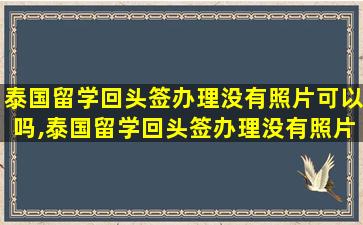 泰国留学回头签办理没有照片可以吗,泰国留学回头签办理没有照片可以吗怎么办