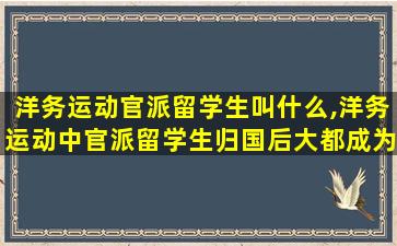 洋务运动官派留学生叫什么,洋务运动中官派留学生归国后大都成为重要的专业人才