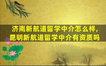 济南新航道留学中介怎么样,昆明新航道留学中介有资质吗