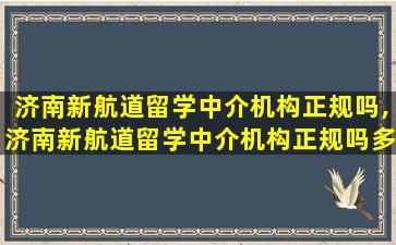 济南新航道留学中介机构正规吗,济南新航道留学中介机构正规吗多少钱