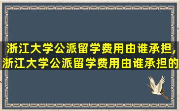 浙江大学公派留学费用由谁承担,浙江大学公派留学费用由谁承担的