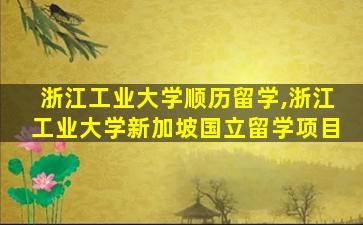 浙江工业大学顺历留学,浙江工业大学新加坡国立留学项目