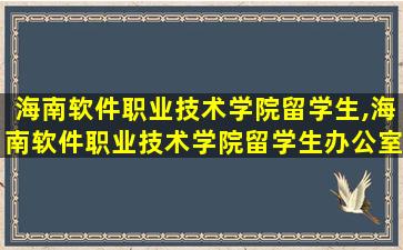 海南软件职业技术学院留学生,海南软件职业技术学院留学生办公室电话号码