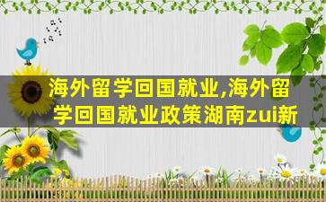 海外留学回国就业,海外留学回国就业政策湖南zui
新