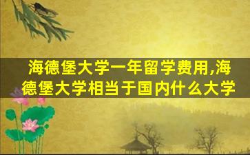 海德堡大学一年留学费用,海德堡大学相当于国内什么大学