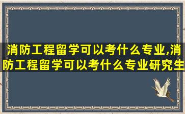 消防工程留学可以考什么专业,消防工程留学可以考什么专业研究生