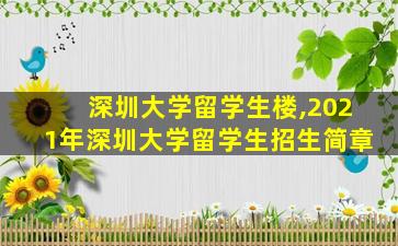 深圳大学留学生楼,2021年深圳大学留学生招生简章