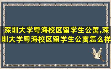 深圳大学粤海校区留学生公寓,深圳大学粤海校区留学生公寓怎么样